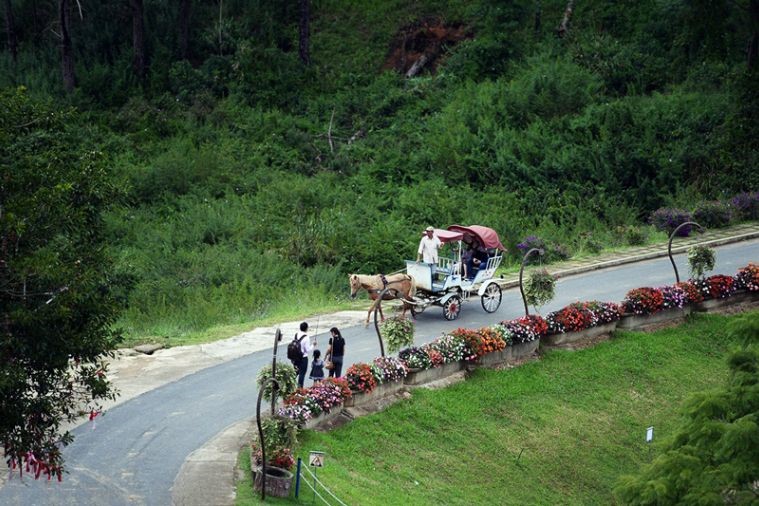 Thung Lung Tình Yêu - Đà Lạt